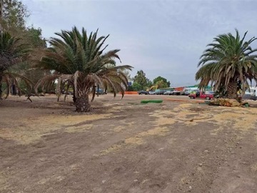 Venta / Terreno / Colina