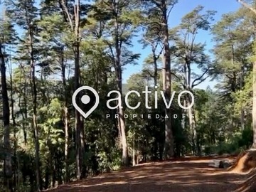 Terreno en venta en Ruta t-206, Valdivia