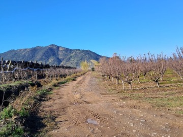 Terreno Agricola en venta en Palquibudi, Rauco, Rauco