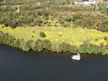 Sitio en venta en Puerto Aysén Río Pangal, Aysén