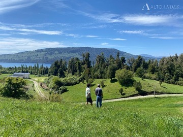 Sitio en venta en Pedras Negras, Lago Rupanco, Puerto Octay, Puerto Octay