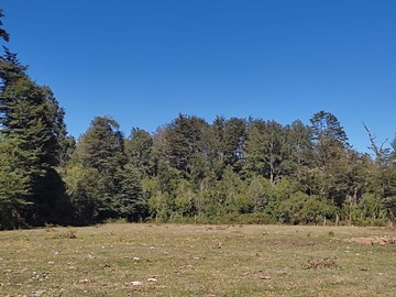 Parcela en venta en 2 km de carretera de villarrica a freire - pasado puente pedregoso, Villarrica
