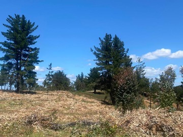 Parcela en venta en cabrero, Cabrero