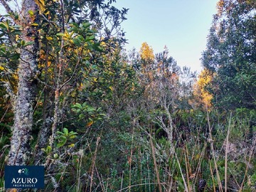 Terreno en venta en Parcelas reservadas y conectadas por camino (173824), Puerto Montt