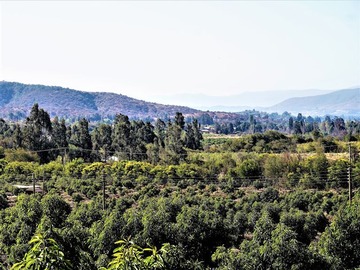 Parcela en venta en Camino a Embalse Lliu Lliu, Limache., Limache