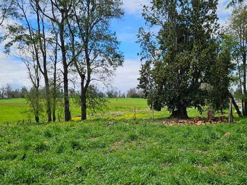 Terreno en venta en Ubicación Estratégica para Proyectos Futuros (130774), Río Negro