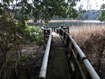 Sitio en venta en ., Valdivia