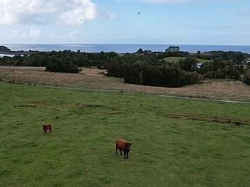 Parcela en venta en W-15, Ancud
