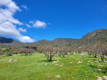 Terreno en venta en Oportunidad! Terreno Ideal para Inversión (172270), Melipilla