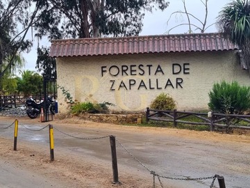 Parcela en venta en Foresta de Zapallar, Zapallar - 4 dormitorios, 2 baños