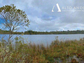 Parcela en venta en "laguna quemchi", quemchi, chiloé, Quemchi