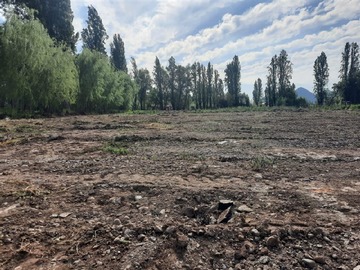 Arriendo Mensual / Terreno Agricola / San Vicente de Tagua Tagua