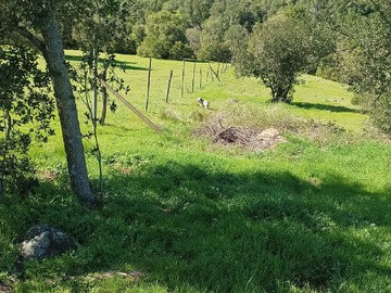 Parcela en venta en Teno, Teno