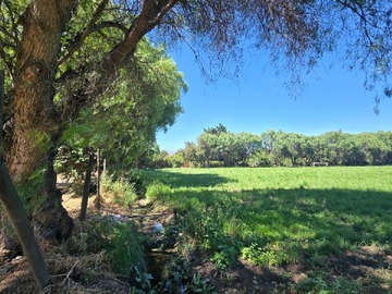 Parcela en venta en Camino la palma, Talagante