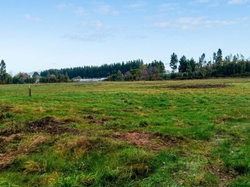 Parcela en venta en Venta de Parcelas Sector el Labrador, Camino a Renaico