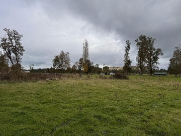 Venta / Terreno / Río Bueno