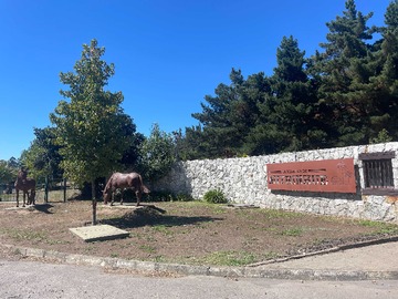 Terreno en venta en Vendo sitio en mitrinhue (174574), Coronel