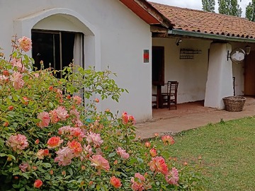 Local Comercial en venta en Pangue Arriba, San Rafael - 4 dormitorios, 9 baños