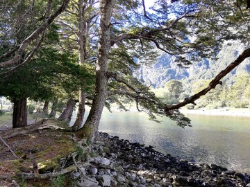 Terreno Agricola en venta en Magia de la patagonia, Cisnes