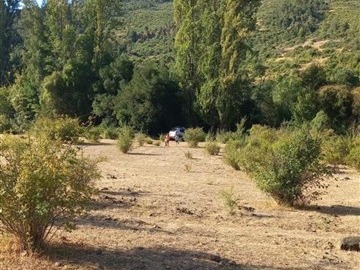 Sitio en venta en Yerbas buenas, Linares