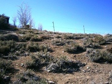 Terreno en venta en Terreno Centro de Esqui (112124), Lo Barnechea