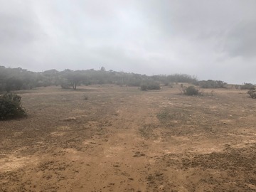 Terreno Agricola en venta en Tabolango, Limache