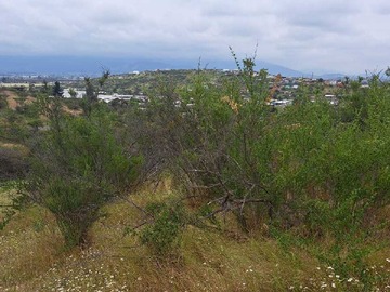 Venta / Terreno / Quillota