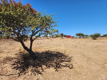 Venta / Terreno / La Estrella