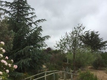 Terreno Agricola en venta en Las loicas, Casablanca - 4 dormitorios, 3 baños