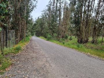 Terreno Agricola en venta en Ruta g-938, San Antonio