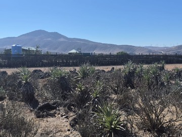 Parcela en venta en Ovalle - La Serena, Ovalle