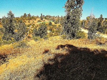 Parcela en venta en Parcela en Venta Cajon del Lebu