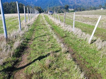 Terreno en venta en Independencia 1, Cobquecura