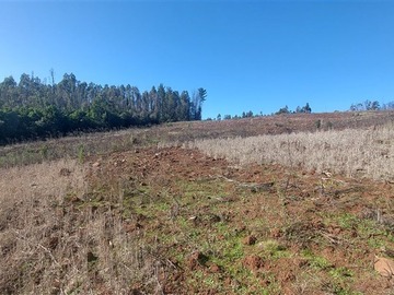 Venta / Sitio / Nacimiento