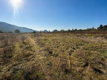 Terreno en venta en El arrayan, Palmilla