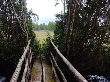 Venta / Parcela / Villarrica
