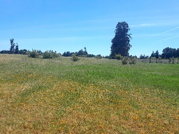 Terreno Agricola en venta en Camino las Trancas, Los Ángeles