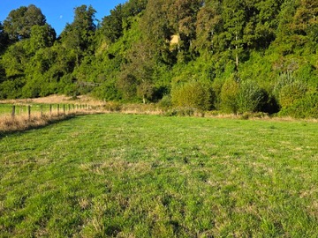 Terreno en venta en Oportunidad de Inversión en Entorno Natural (151309), Los Lagos