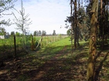 Parcela en venta en Ubicada a 7 km. de la salida Sur de la comuna de Bulnes, por ruta 5 - Sur, Bulnes