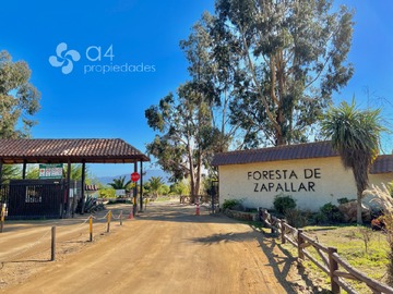 Parcela en venta en Foresta de Zapallar, Zapallar