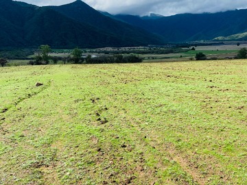 Terreno Agricola en venta en Parcela en la V Region