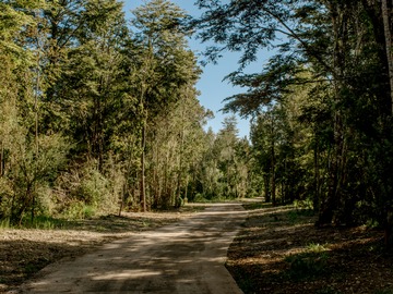 Parcela en venta en Maullin, Los Muermos, Los Muermos