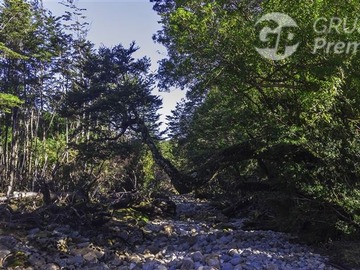 Terreno Agricola en venta en Ruta 7 Km. 150 & Sector Rio Grande, Lago Verde