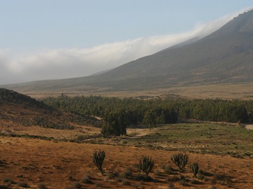 Terreno en venta en Talinay Bajo, Ovalle