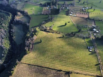 Terreno Agricola en venta en 9 Hectareas plantadas con castaños a orillas del rio Ignao, a solo 15 minutos de Puerto Nuevo, Lago Ranco., Lago Ranco