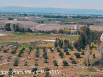 Parcela en venta en I-214, Peralillo