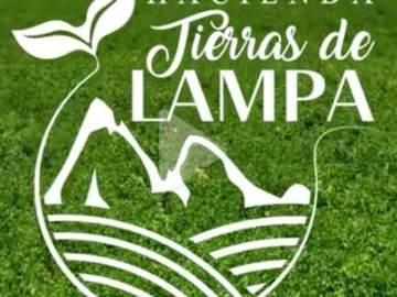 Parcela en venta en Lampa, Región Metropolitana de Santiago, Chile, Lampa