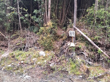 Parcela en venta en Huillinco, Chonchi
