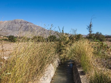 Terreno en venta en Peralillo, Vicuña