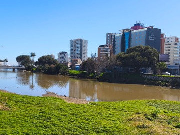 Local Comercial en arriendo mensual en Local Comercial 50m2 Uno Norte 3 Baños Cerca Casino Viña del Mar - 4 dormitorios, 5 baños